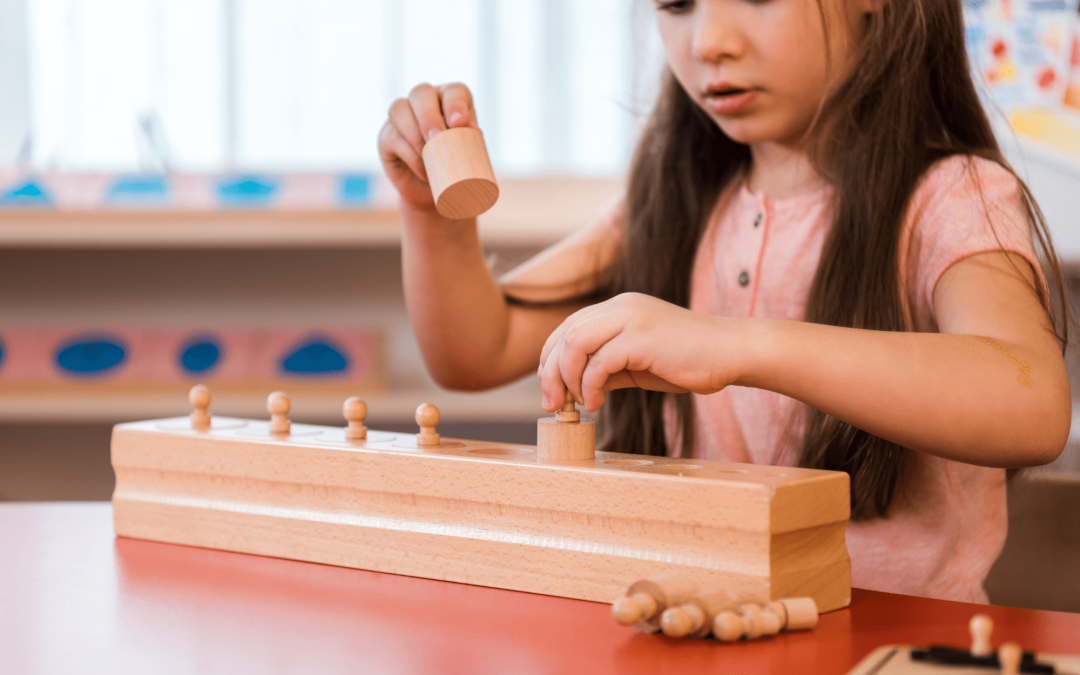 M6 – Mettre en œuvre la personnalisation des apprentissages à l’élémentaire avec Montessori