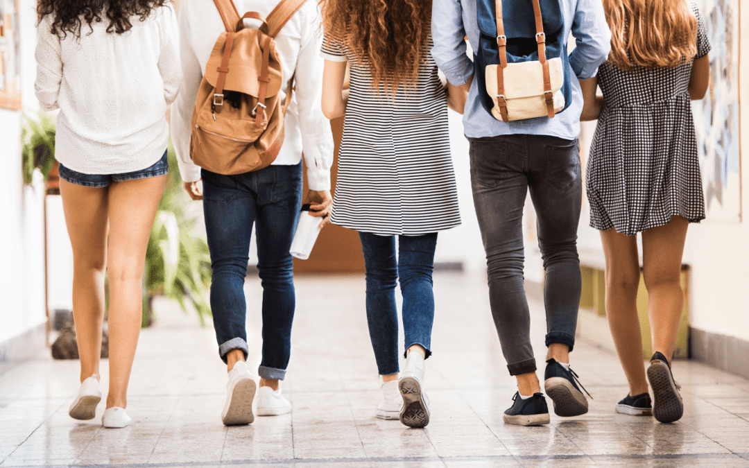 M3C – Programme de formation initiale : Autorégulation au collège