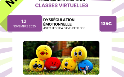 Dysrégulation émotionnelle : nouvelle classe virtuelle en novembre 2025 !